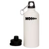 20 oz Aluminum Water Bottle with Carabiner Thumbnail