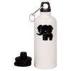 20 oz Aluminum Water Bottle with Carabiner Thumbnail