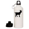 20 oz Aluminum Water Bottle with Carabiner Thumbnail