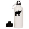 20 oz Aluminum Water Bottle with Carabiner Thumbnail